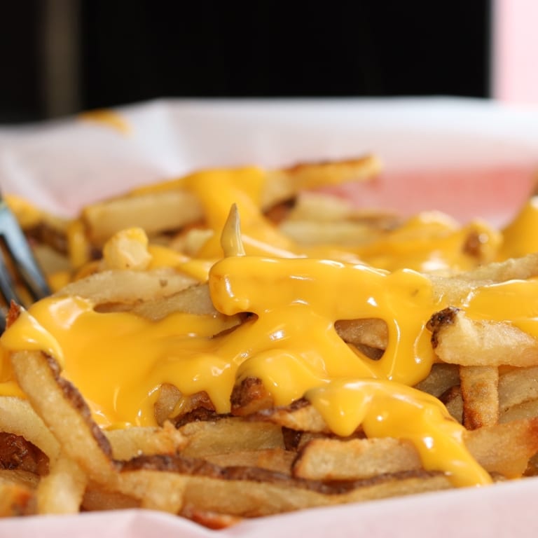 Indulge in Our Cheese Fries